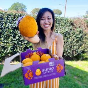 Influencer holding a box of Sumo Citrus